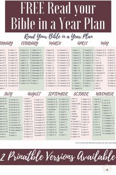 a printable bible planner with the text free read your bible in a year plan