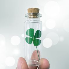 a person holding a small glass bottle with a four leaf clover in it