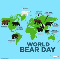 the world bear day poster is shown with bears and other animals around the world on it