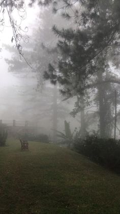 a bench sitting in the middle of a foggy park