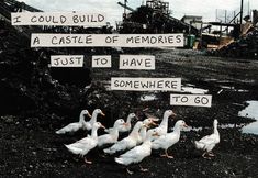 there are many ducks standing in front of some signs that read i could build a castle of memories just to have somewhere to go