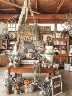 a room filled with lots of different types of plants and decorations on top of wooden shelves