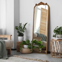 a mirror sitting on top of a wooden table next to a plant filled potted plant