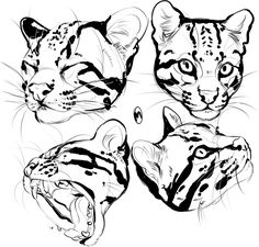 three black and white drawings of cats with their mouths open, looking at the camera