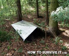 there is a tarp in the middle of the woods with trees and leaves around it