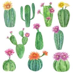 watercolor cactus clipart set with flowers on white background for scrapbook, cards and more