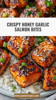 Tender salmon meets crispy perfection! These Honey Garlic Salmon Bites are your new go-to for a quick, flavorful dish that everyone will love. 😋🍽️ #QuickMeals #EasyDelicious #HoneyGarlicGoodness #CrispyOnTheOutside #FlavorFull #HealthyMeals #DinnerMadeEasy #SnackLikeAPro #SeafoodFavorites #YummyInMyTummy Honey Garlic Salmon Bites, Garlic Salmon Bites, Salmon Bites, Honey Garlic Salmon, Honey Salmon, Garlic Salmon, Salmon Dinner, Pan Seared, Honey Garlic