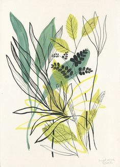 an illustration of green and yellow leaves on a white background