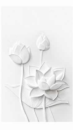 three white flowers on a white background with text overlay that reads, paper art