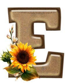 the letter e is made up of sand with a sunflower and leaves on it