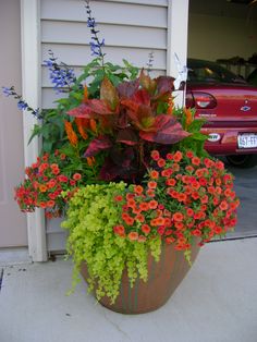 a potted planter filled with lots of flowers next to a red car parked in front of a house