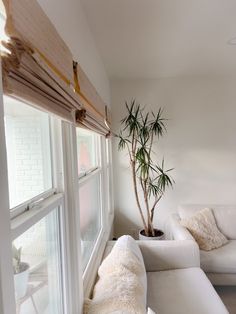 a living room filled with white furniture and a potted plant on the window sill