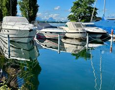 several boats are docked in the water near some trees