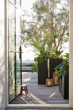 an open door leading to a deck with plants