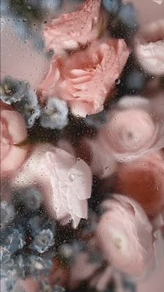 some pink and blue flowers on a rainy window