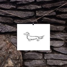 a drawing of a dachshund is hanging on a stone wall