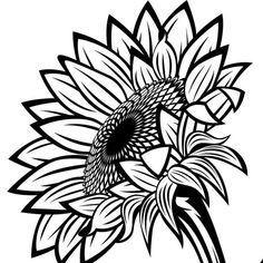 a black and white drawing of a sunflower