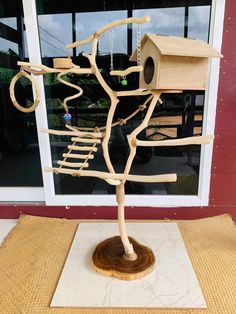 ยิมนก Parrot Tree Stand, Parrot House Ideas, Parrot Toys Ideas, Bird Room Ideas Diy, Bird Cage Ideas, Bird Play Gym, Sugar Glider Pet, Homemade Bird Toys