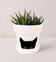 a potted plant with a black cat face on it