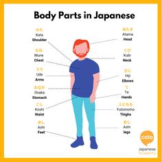 the body parts in japanese for children and adults, with their names on each side