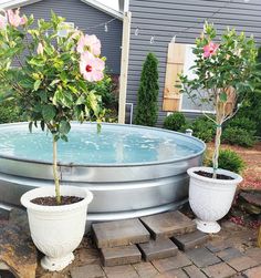 two potted plants in front of a pool with water and steps leading up to it