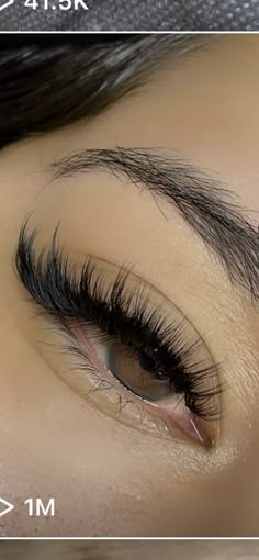 Siren Eye Lashes, Siren Eye Lash Extensions, Fox Eye Lash Extensions, Lash Maps, Siren Eyes, Lash Collection, Natural Fake Eyelashes, Brown Hairstyles