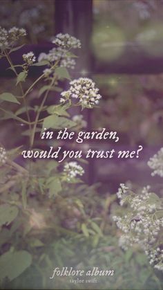 the words in the garden, would you trust me? written on a blurry photo of white flowers