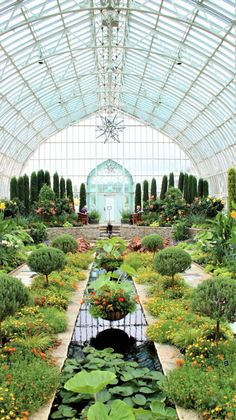 the inside of a greenhouse with lots of plants and water lilies growing in it