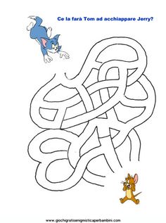 the cat and the mouse maze is shown