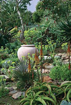 a large vase sitting in the middle of a garden filled with lots of plants and flowers