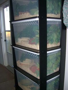 several plastic containers filled with food on top of a shelf