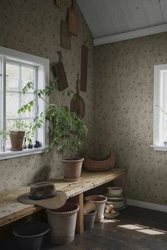 a room filled with pots and plants on top of a wooden table next to two windows