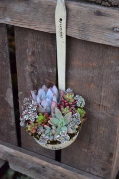 small succulents and other plants are in a hanging planter on a wooden bench