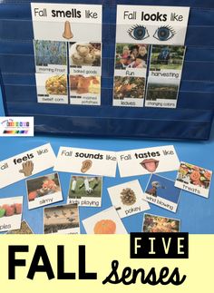 the fall sounds and activities are displayed in front of a blue bag with pictures on it