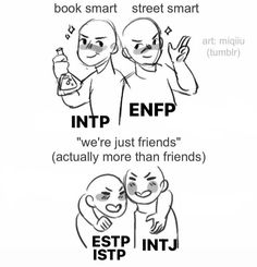 Estp Intj, Explorers Mbti, Mbti Enfp, Personalidad Enfp, Mbti Intp, Ship Dynamics, Intp T, Intj Personality