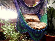 an image of a hammock that is for sale