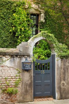 an entrance to a building with vines growing on it