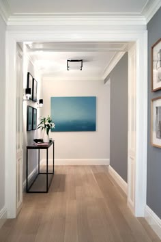 the hallway is clean and ready for us to use as an entrance way in this home