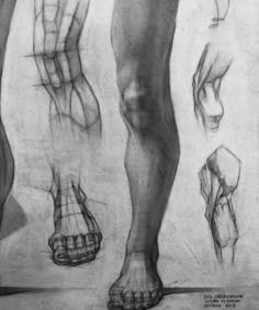 a drawing of feet and hands with different angles