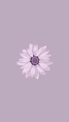 a purple flower on a gray background with the words,'i am not sure what this