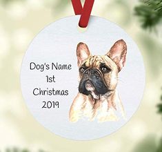 a christmas ornament with a dog's name on it and a red ribbon