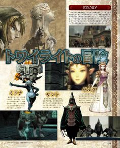 Twilight Princess Poster, Twilight Princess Aesthetic, Twilight Princess Concept Art, Twilight Princess Wallpaper, Twilight Princess Art, Zelda Poster, Twilight Princess Hd, Botw Zelda, Zelda Twilight Princess