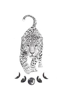 a black and white drawing of a cheetah on the ground with three birds around it