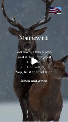 two deer standing next to each other with an american flag in the background and text that reads, matthew 6 6 god always has a plan trust it,