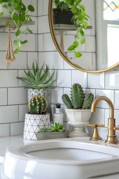 a white sink sitting under a mirror next to a potted plant on top of a counter