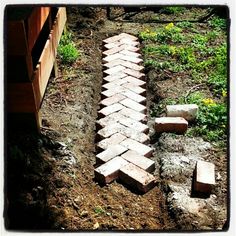 a brick path in the middle of some dirt