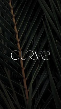 the word crave is written in white on a dark background with green palm leaves