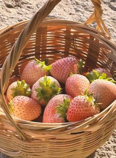 a basket full of strawberries sitting on the ground