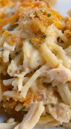 closeup of pasta with chicken and parmesan cheese