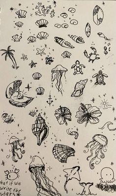 an ink drawing of different sea creatures